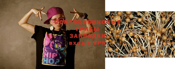 спиды Саяногорск