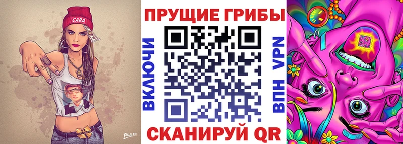 Галлюциногенные грибы ЛСД Тотьма
