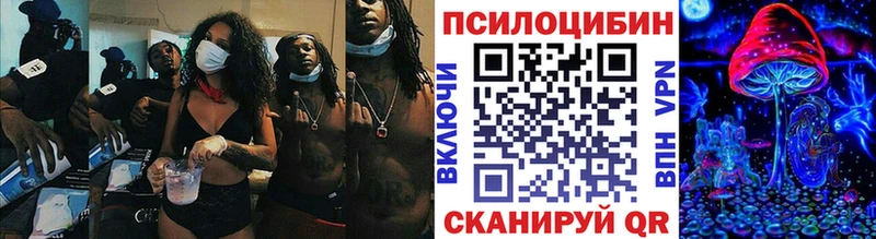 Псилоцибиновые грибы Psilocybe цены наркотик Тотьма